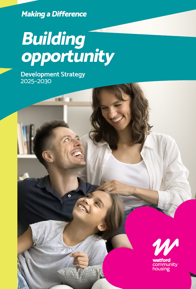 Development strategy cover image