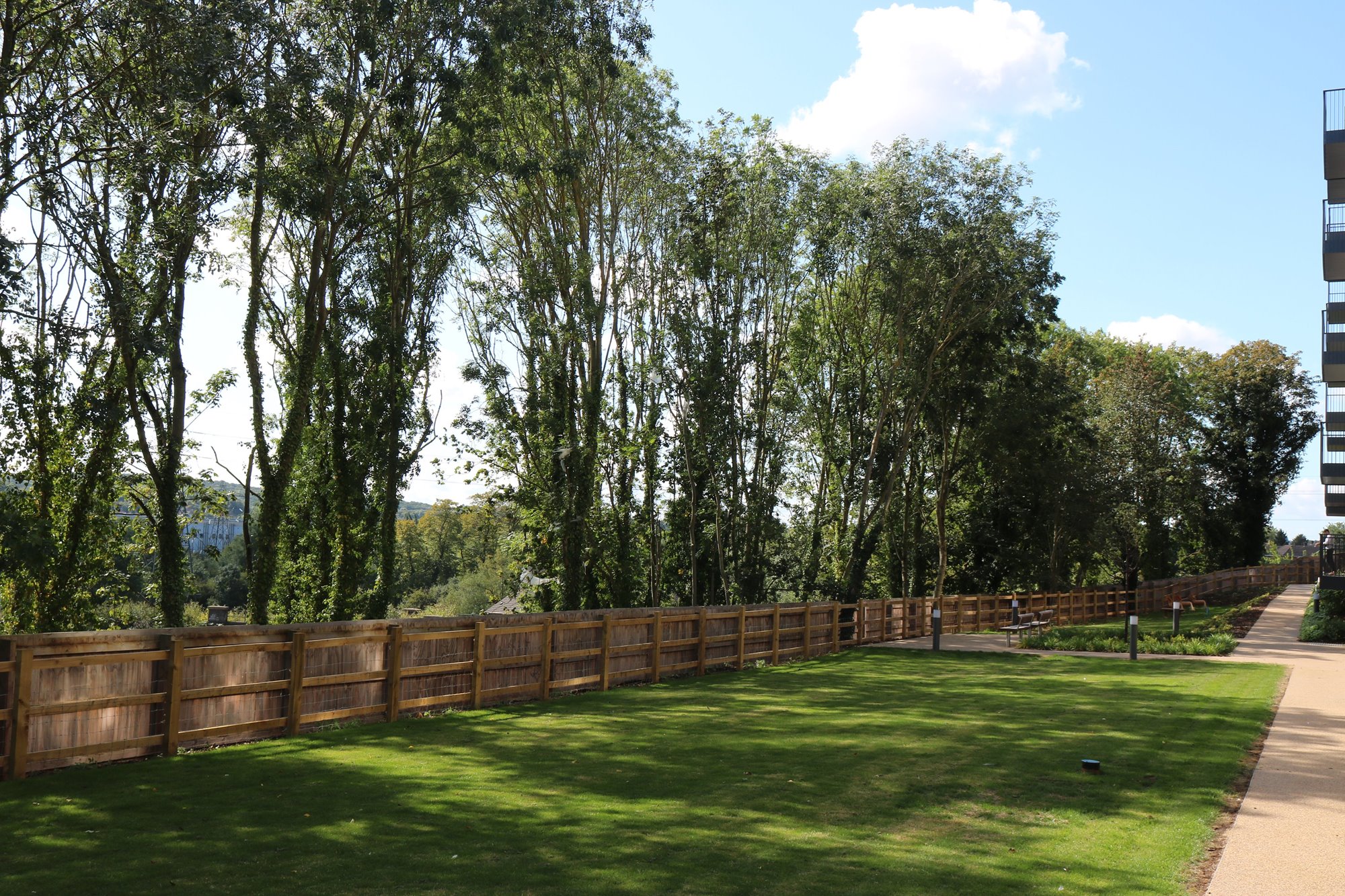 Priority tree works 2023